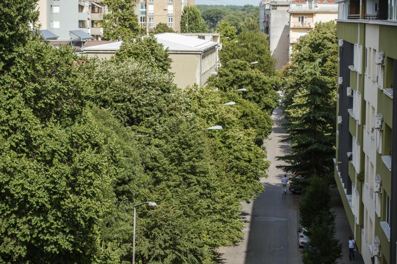 Old Town Flat Leilighet Novi Sad Eksteriør bilde